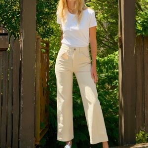 Mollusk Womens Painter Pants